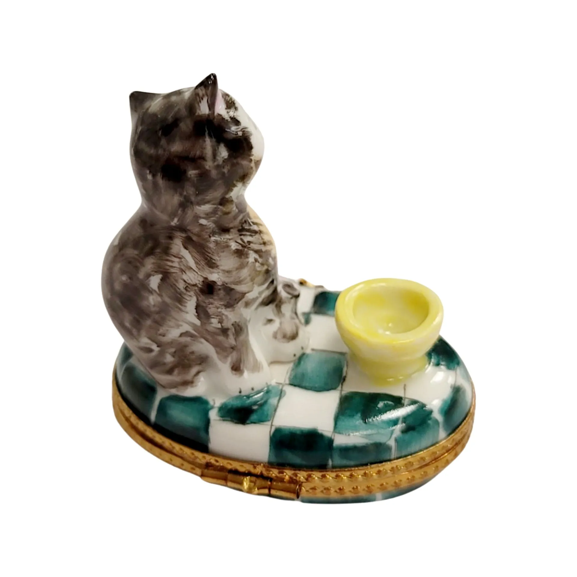 Cat w Yellow Cup