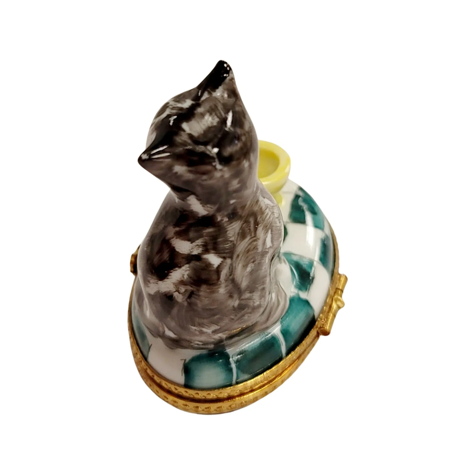 Cat w Yellow Cup