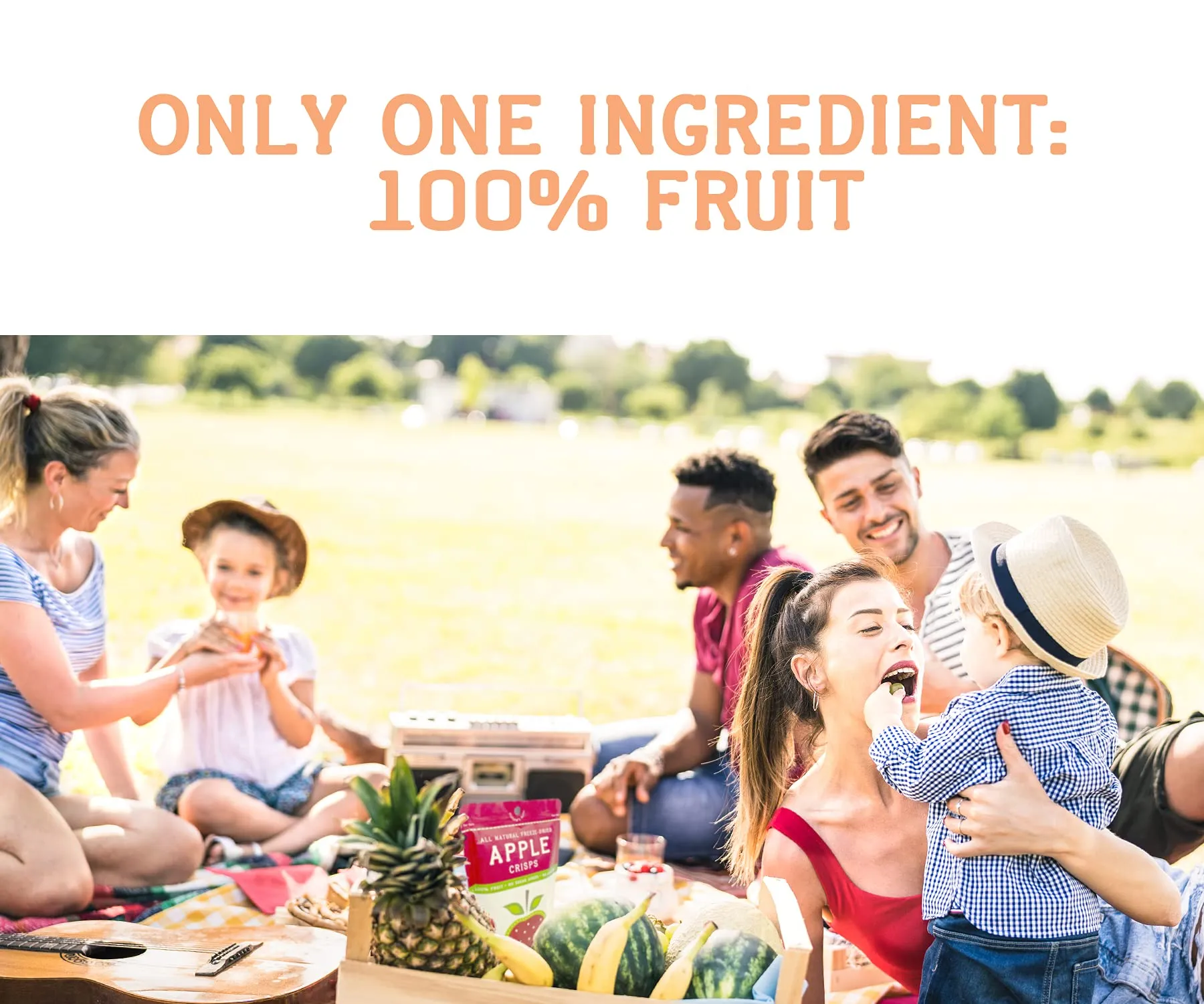 Nature’s Turn Freeze-Dried Fruit Snacks, Mango Crisps - Pack of 12 (0.53 oz Each)